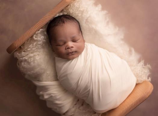 newborn photographer philadelphia