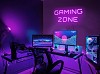 Gaming Neon Light