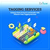 Enhance Data Accuracy and Quality with Effective Data Tagging Services