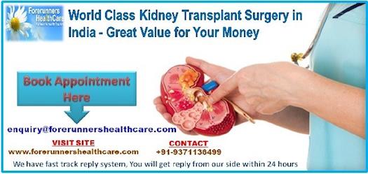 World Class Kidney Transplant Surgery in India Great Value for Your Money