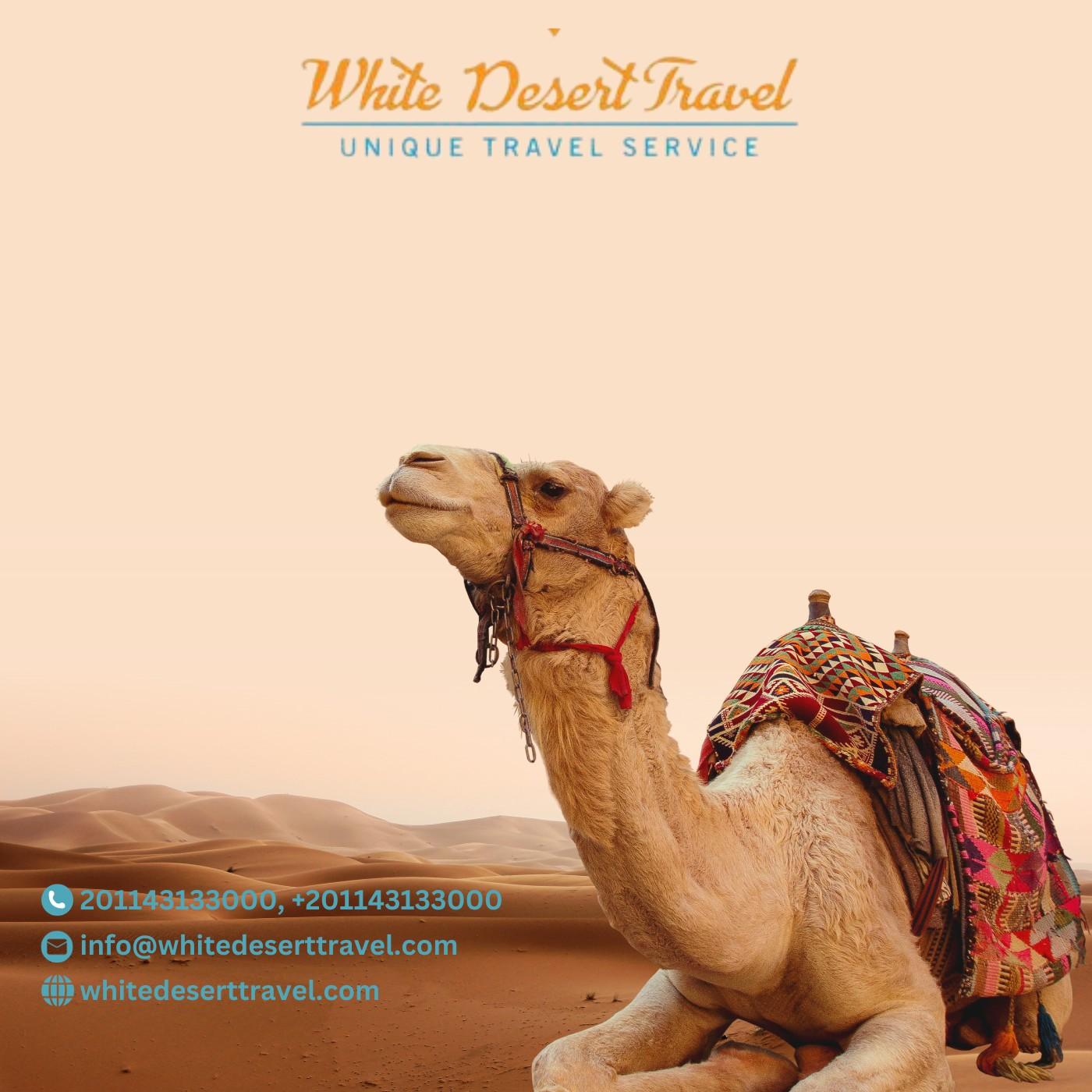 Best Egypt Travel Agent : whitedeserttravel.com