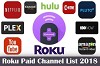 Roku Paid Channels List