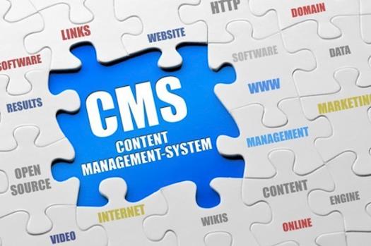 CMS and Offshore Services & Solutions
