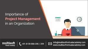 Project Management Online Course