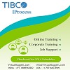 Tibco Iprocess Online Training-VirtualNuggets.com