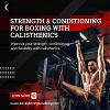 Unleash Your Boxing Potential with Calisthenics