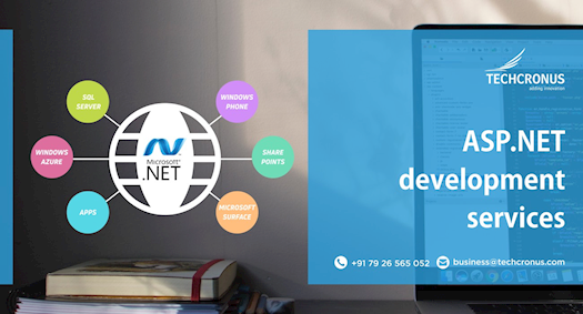 ASP .NET Development Services
