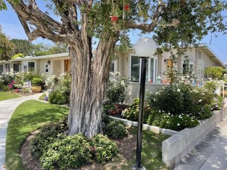 Judy Hughes - Leisure World - Seven Gables Real Estate
