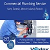Commercial Plumbing Service