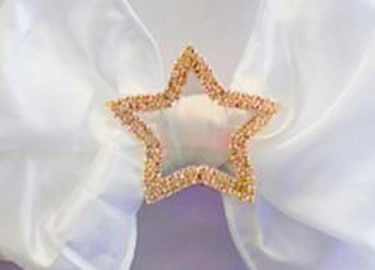 Gold Star Diamante Buckle available at Chair Cover Depot
