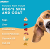 Food Ingredients For Your Dog's Skin And Coat - PetSutra