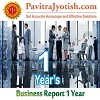 Business Report 1 Year