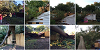Baltimore Storm Damage & Emergency Tree Service