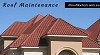 Enjoy Best Roof Maintenance Adelaide Australia Service From Roof Doctors