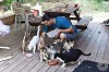 Feeding Time