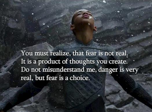 Fear versus Danger