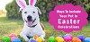 Easter Activities for Dogs