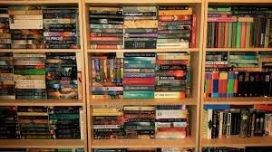 Pro Book Writing & Publishing - Luminous Library