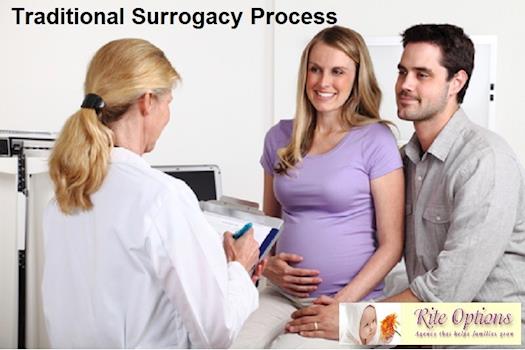 Traditional Surrogacy Process
