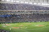 Japan vs Georgia Rugby