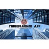 real estate agents on TribeFluence