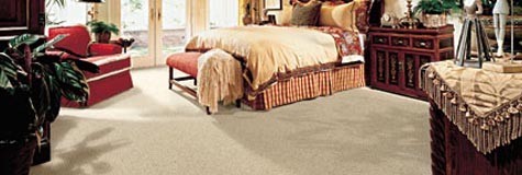 Your San Diego Carpet Specialists
