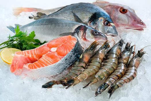 Reliable Wholesale Seafood Distributor