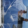 Professional Window Cleaning