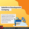 Elevate Your Business with Leading Salesforce Development Solutions