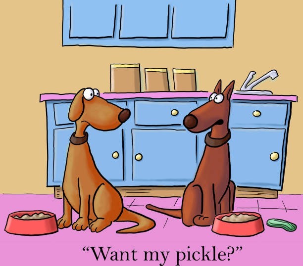 Are Pickles Ok For Dogs