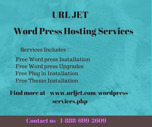 Professional Word Press Hosting Services
