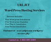 Professional Word Press Hosting Services