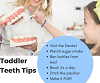 Teeth Tips For Toddlers - Desired Smiles				