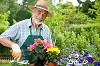 Best Reasons for Elderly People to Take Up Gardening