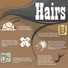What You Should Know about Hair Loss
