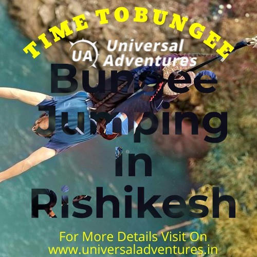''Gravity-Defying Adventures: Bungee Jumping In Rishikesh Natural Playground'' 