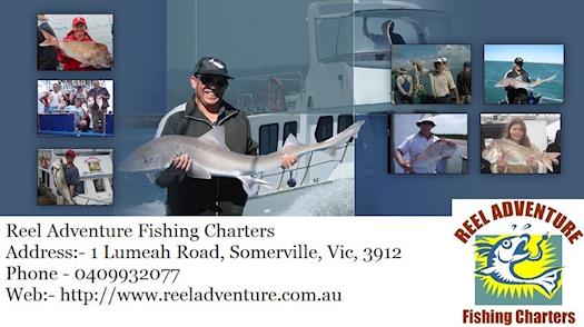 Fishing Charters Melbourne - Reel Adventure Fishing Charters