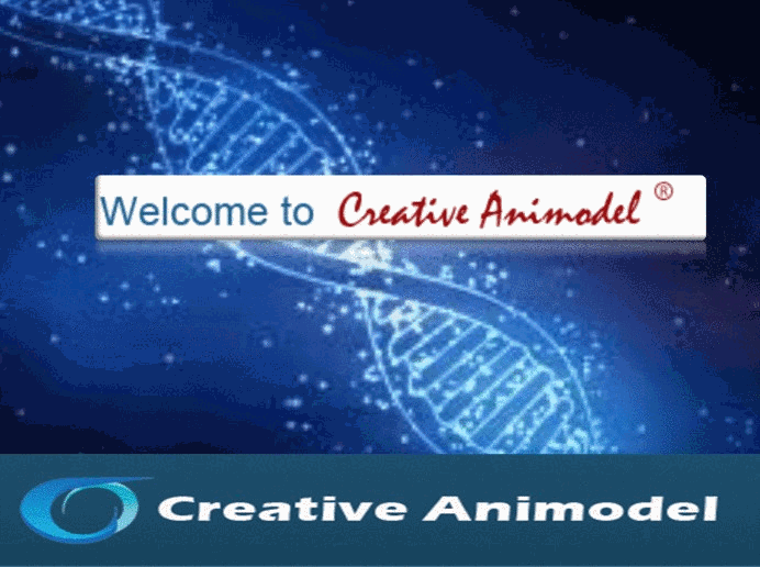 Creative Animodel  An Inroduction To A Biomedical Research Organization