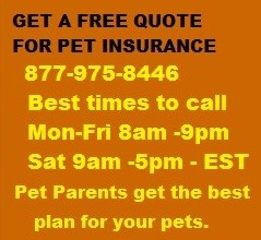 FREE PET INSURANCE QUOTE