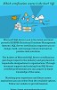 SQL Server training courses USA
