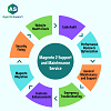 Magento Support agency- hire Magento Developer