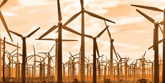 Renewable Energy Policy and Companies in India