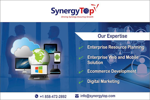 SynergyTop Web Development Service – Serves in All Industry