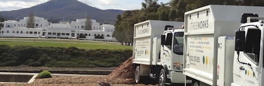 Commercial tree services