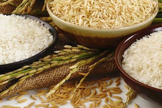 Organic Rice Importers USA