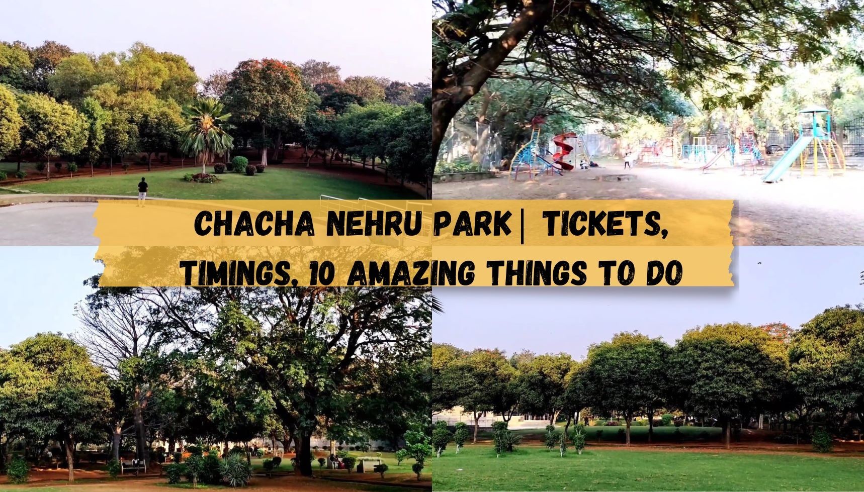Chacha Nehru Park: Unveiling 10 Amazing Experiences in Nature's Sanctuary
