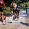 Contact Team Building Made Easy for Team Building in Sydney