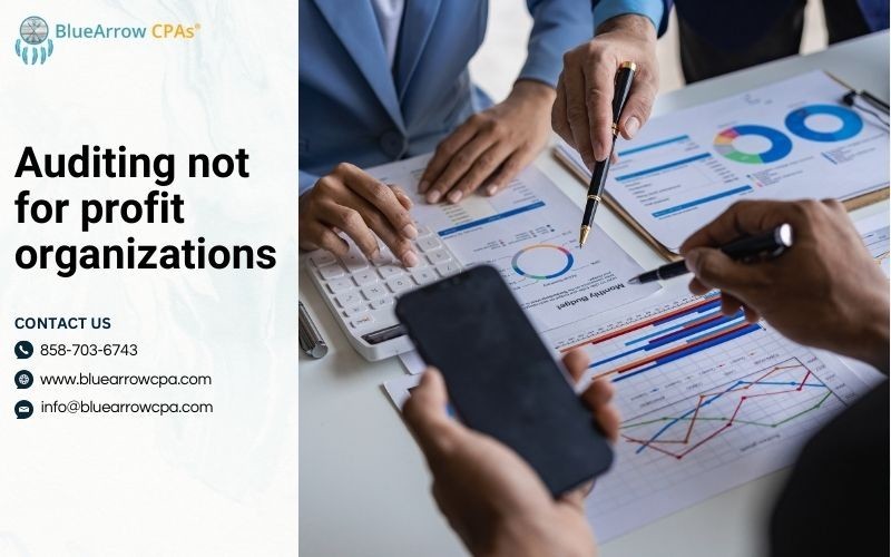 Auditing not for profit organizations