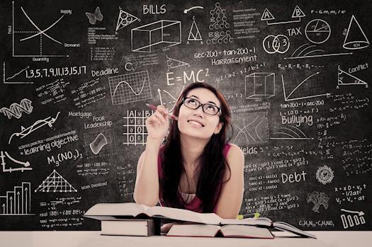 Chief Essays Academic Writing Services