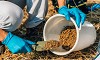 Fertilizer & Soil: Buy Fertilizer & Soil Online at Best Prices